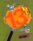 The 13th Clue cover