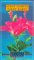 Saint Martin Saint Barts cover
