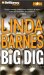 Big Dig cover