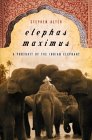 Elephas Maximus : A Portrait Of The Indian Elephant [Click for larger image]