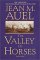Valley of Horses cover