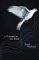 A Trumpet in the Wadi cover