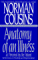 Anatomy of an Illness As Perceived by the Patient cover