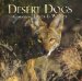 Desert Dogs : Coyotes, Foxes & Wolves of the Sonoran Desert cover