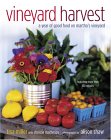 Vineyard Harvest [Click for larger image]
