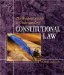 The Student's Guide To Understanding Constitutional Law cover