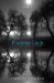 Phantom Limb cover