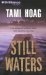 Still Waters cover