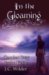 In the Gloaming cover