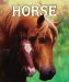 Horse cover