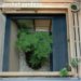 Pocket Gardens : Contemporary Japanese Miniature Designs cover
