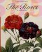 The Roses : The Complete Plates cover