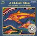 A Clean Sea : The Rachel Carson Story cover