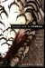 Straight With the Medicine : Narratives of Washoe Followers of the Tipi Way cover