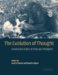  Evolution of Thought: Evolutionary Origins of Great Ape Intelligence