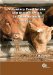 Voluntary Food Intake and Diet Selection of Farm Animals cover