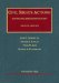 Civil Rights Actions : Enforcing the Constitution cover