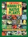 Growing Hawaii's Native Plants cover