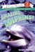  Amazing Dolphins!