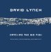 Catching the Big Fish : Meditation, Consciousness, and Creativity cover