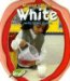 White With Other Colors cover