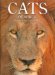 Cats of Africa : Behaviour, Ecology, and Conservation cover