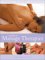 A Guide to Massage Therapies: Natural Healing Handbook