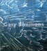 Gary Simmons cover