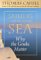  Sailing the Wine-Dark Sea: Why the Greeks Matter