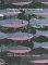 Constraint Logic Programming : Selected Research cover