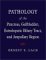 Pathology of the Pancreas, Gallbladder, Extrahepatic Biliary Tract, and Ampullary Region cover