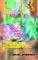 Social Sciences - The Students' Handbook cover