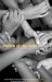Rhythm of the Chain : Young Writers Explore Teamwork cover