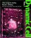 The Dynamic Cell cover