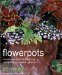 Flowerpots : A Seasonal Guide to planting, designing, and displaying pots cover