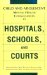 Child and Adolescent Mental Health Consultation in Hospitals, Schools, and Courts cover