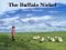 The Buffalo Nickel