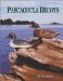 Pascagoula Decoys cover