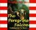 Wildlife Winners : The Peregrine Falcon  Endangered No More cover