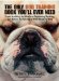 The Only Dog Training Book You Will Ever Need : From Avoiding Accidents to Banishing Barking, the Basics for Raising a Well-Behaved Dog cover