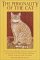 The Personality of the Cat