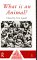 What Is an Animal? cover