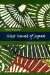 Miss Nume of Japan : A Japanese-American Romance cover
