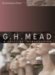  G.H. Mead: A Critical Introduction