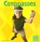 Compasses cover