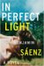 In Perfect Light : A Novel cover