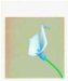 Robert Mapplethorpe : Ten By Ten cover