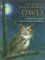 Book of North American Owls cover