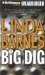 Big Dig cover