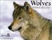 Wolves 2000 Calendar cover